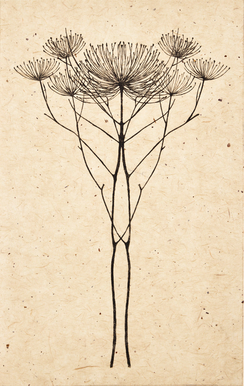 Anna Francis, Anna Francis – Axial