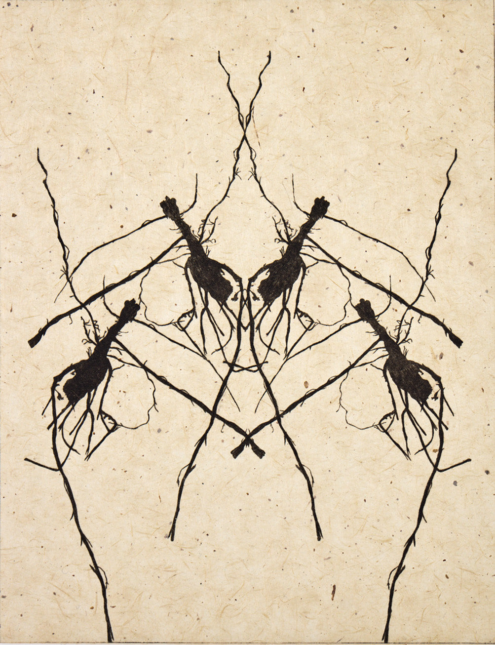Anna Francis, Anna Francis – Vessel