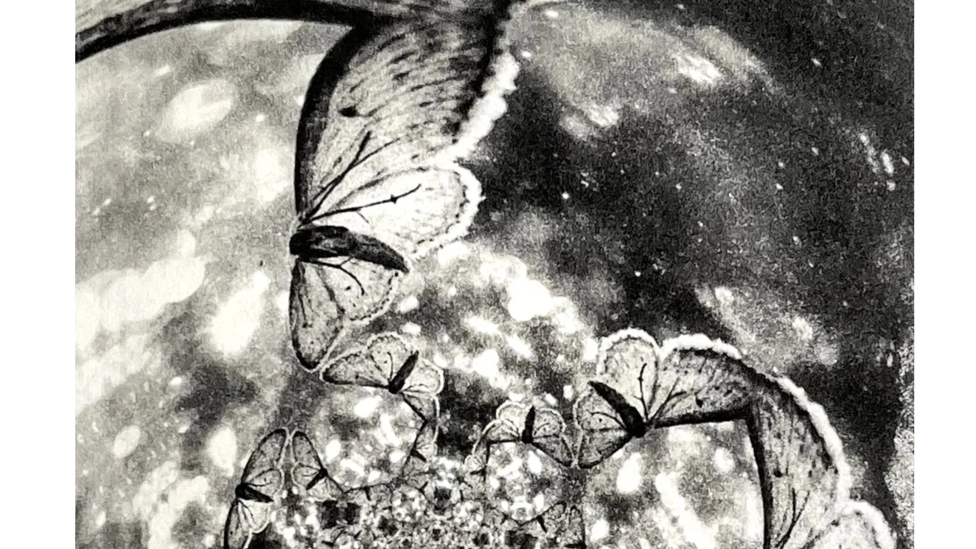 Detail: Detailausschnitt mit Schmetterlingen entlang einer kreisrunden Kontur und hellen Punkten. Radierung "Eclipse" von Michelle Hinshelwood.