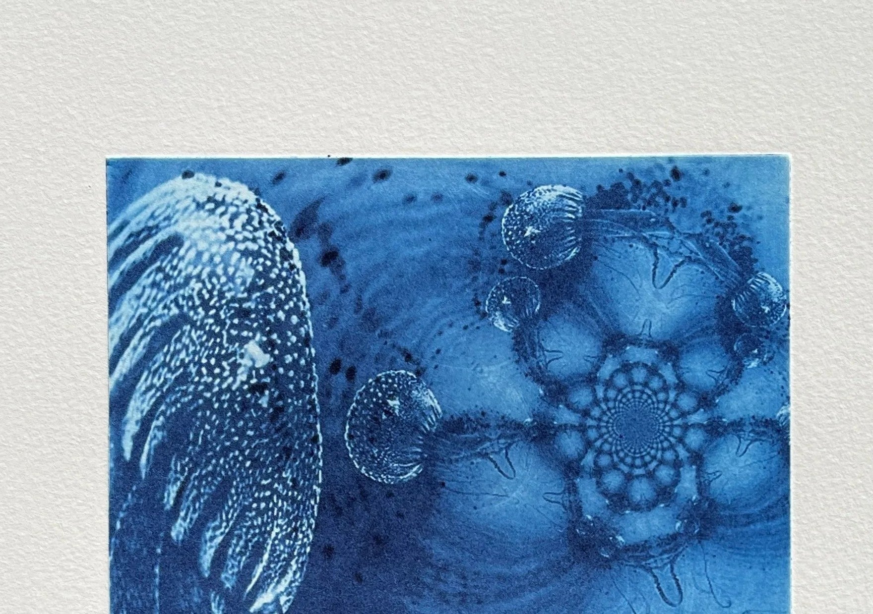 Detail: Detailausschnitt mit Quallenformen und Spiralstrukturen vor blauem Grund. Radierung "Fathom" von Michelle Hinshelwood.