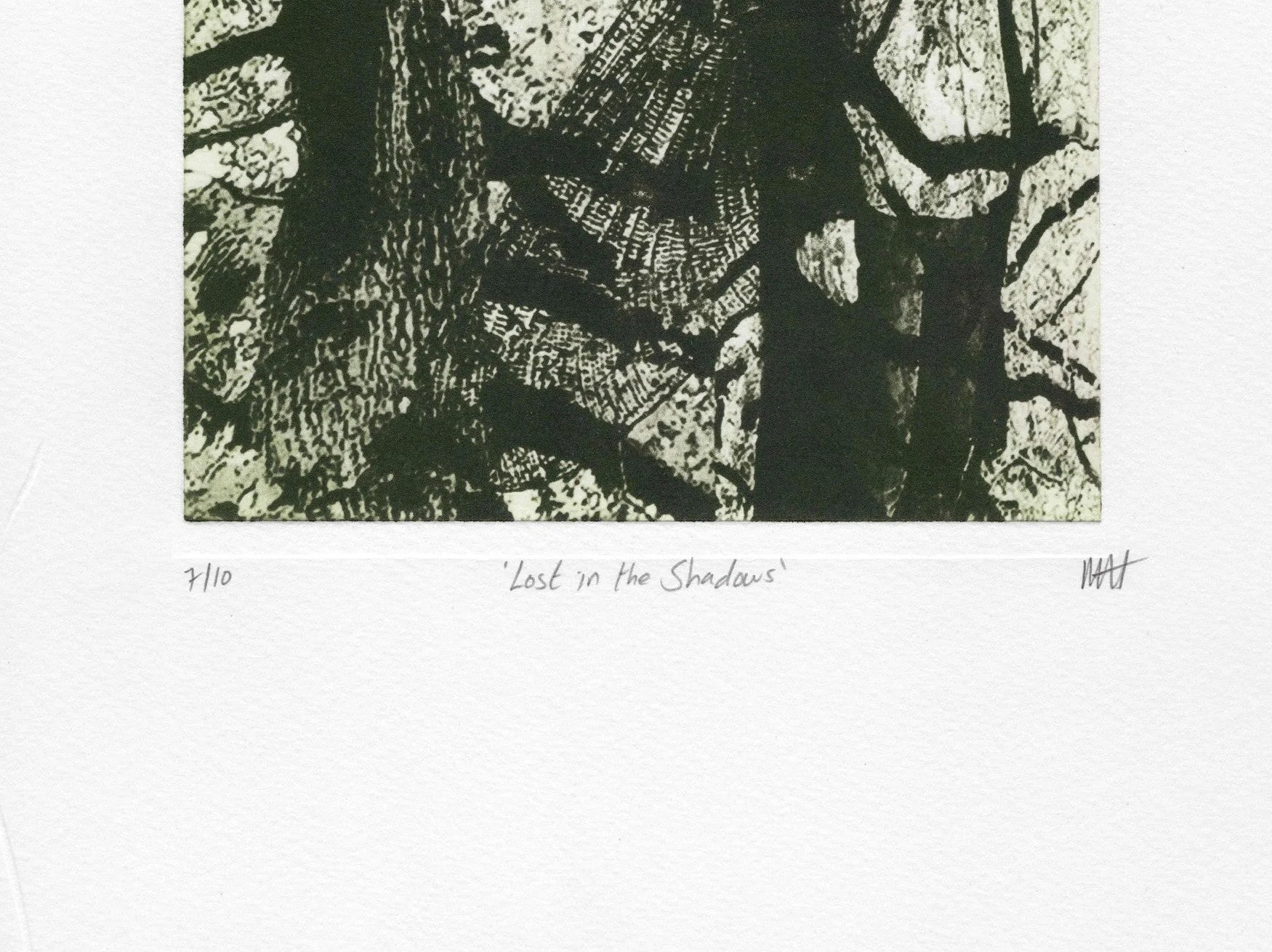 Detail: Unterer Detailausschnitt mit dunklen Ästen und Titelzeile sowie Signatur. Radierung "Lost in the Shadows" von Michelle Hinshelwood.
