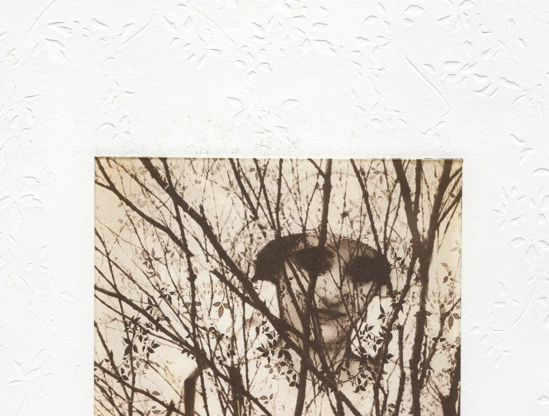 Detail: Oberer Detailausschnitt mit Geäst und angedeuteter Figur dahinter. Radierung "Meditations on Choice" von Michelle Hinshelwood.