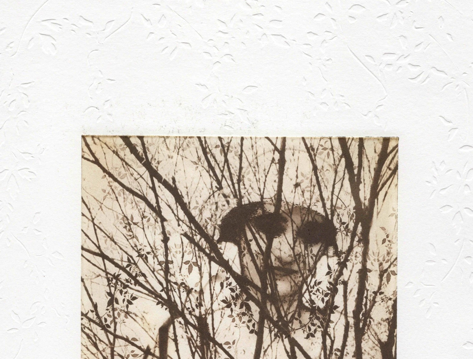 Detail: Oberer Detailausschnitt mit Geäst und angedeuteter Figur dahinter. Radierung "Meditations on Choice" von Michelle Hinshelwood.