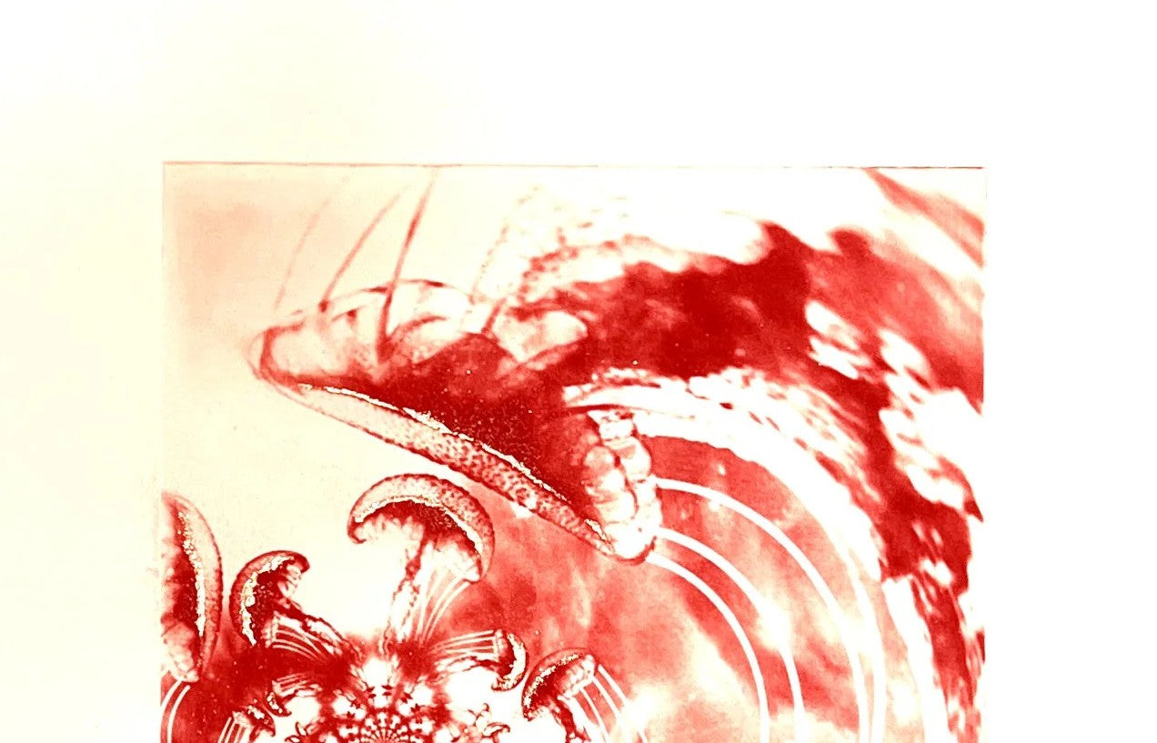 Detail: Oberer Detailausschnitt mit flügelartiger Form und Quallen darunter in Rot. Radierung "Sea Spirits" von Michelle Hinshelwood.