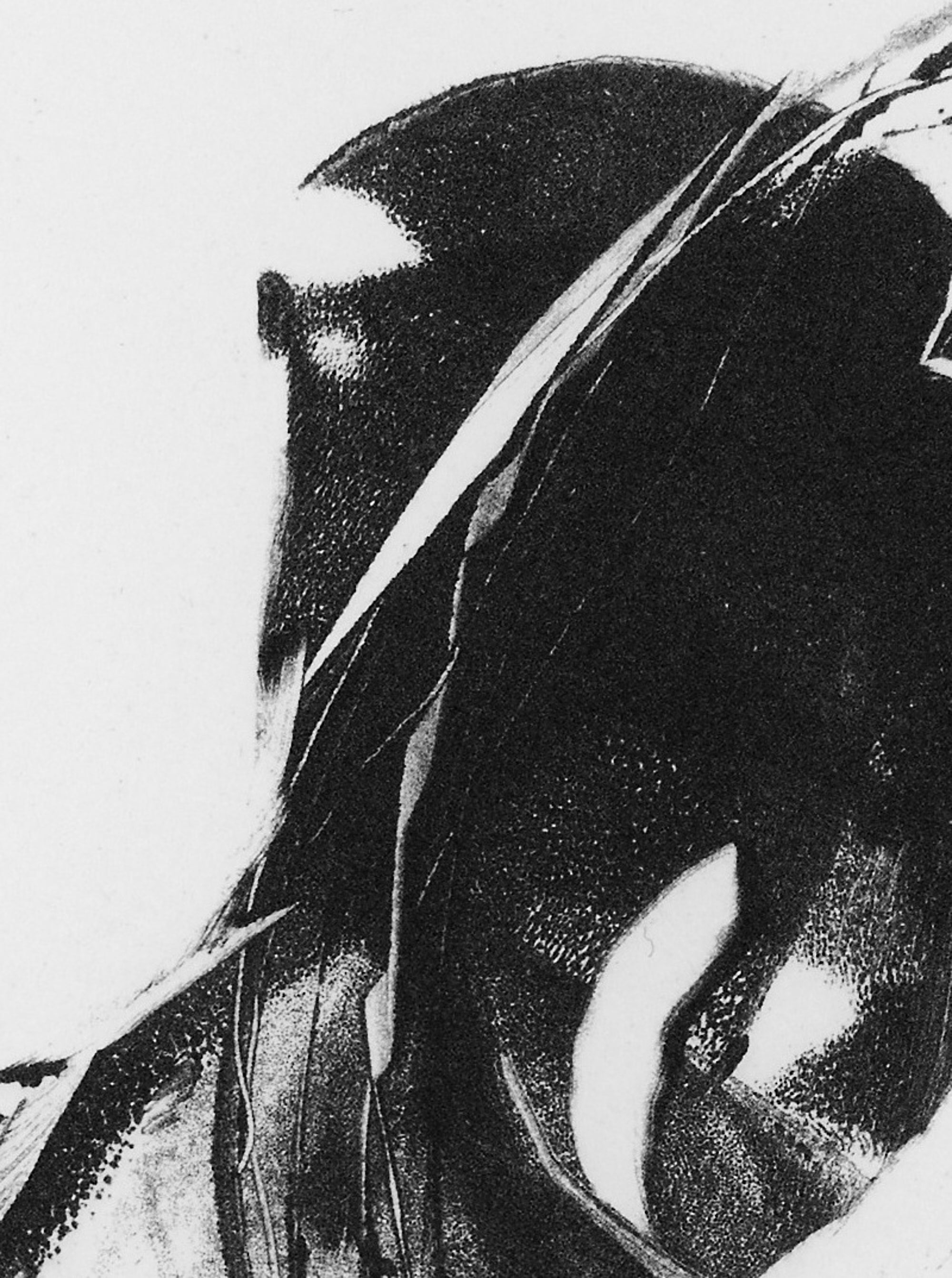 Detailausschnitt: The Minute Sound of Silence No2, Photopolymer-Tiefdruck von Clare Grossman