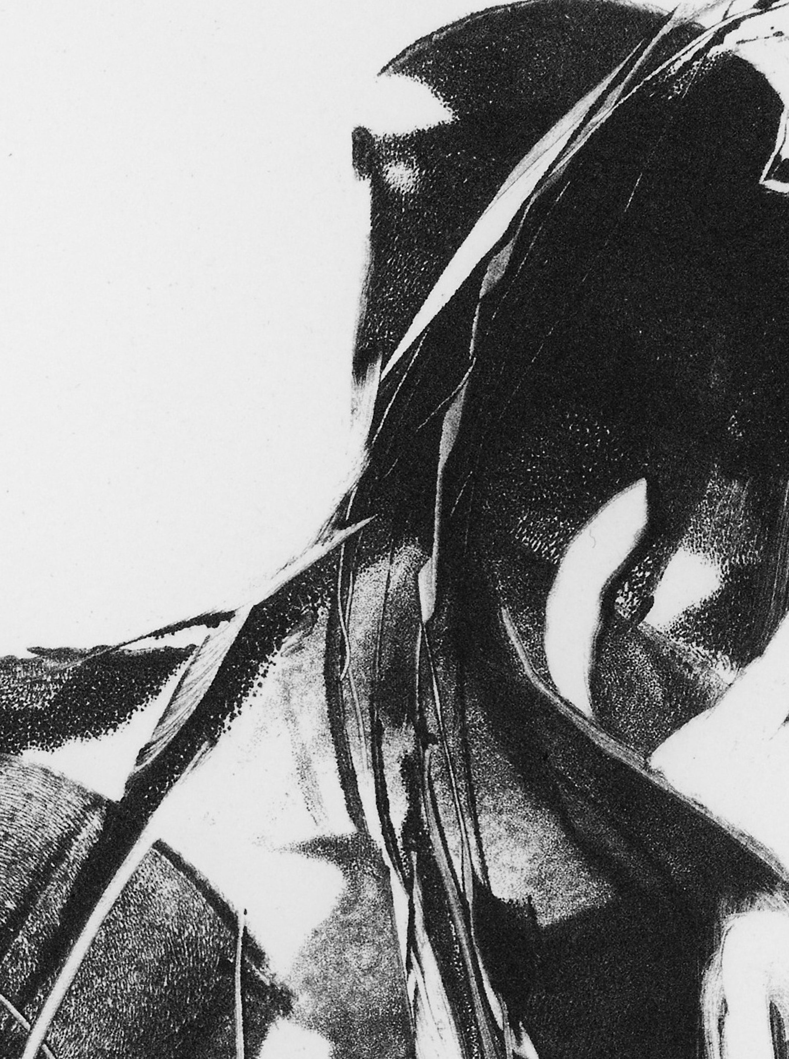 Detailausschnitt: The Minute Sound of Silence No2, Photopolymer-Tiefdruck von Clare Grossman
