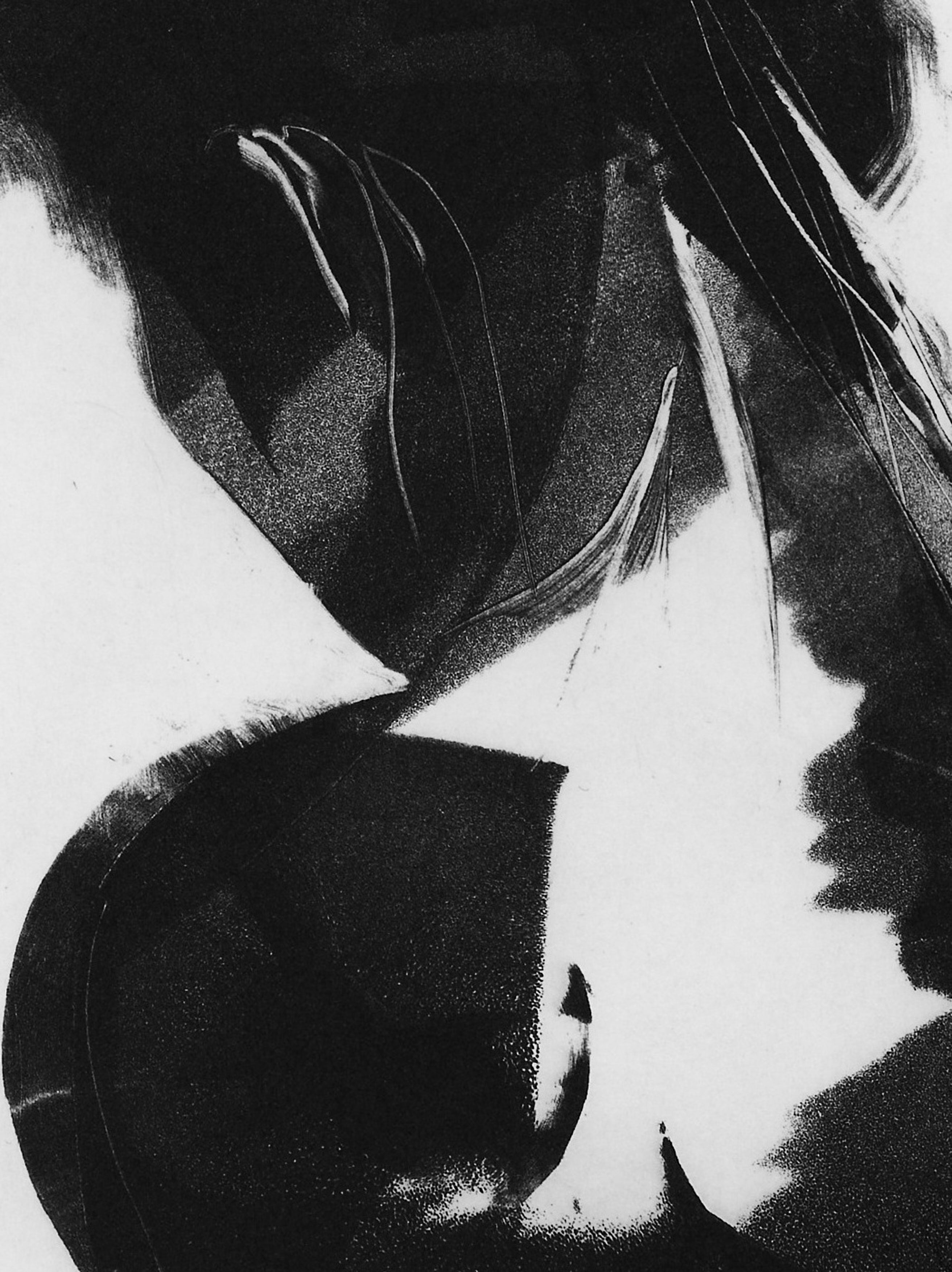 Detailausschnitt: The Sound of Silence No1, Photopolymer-Tiefdruck von Clare Grossman