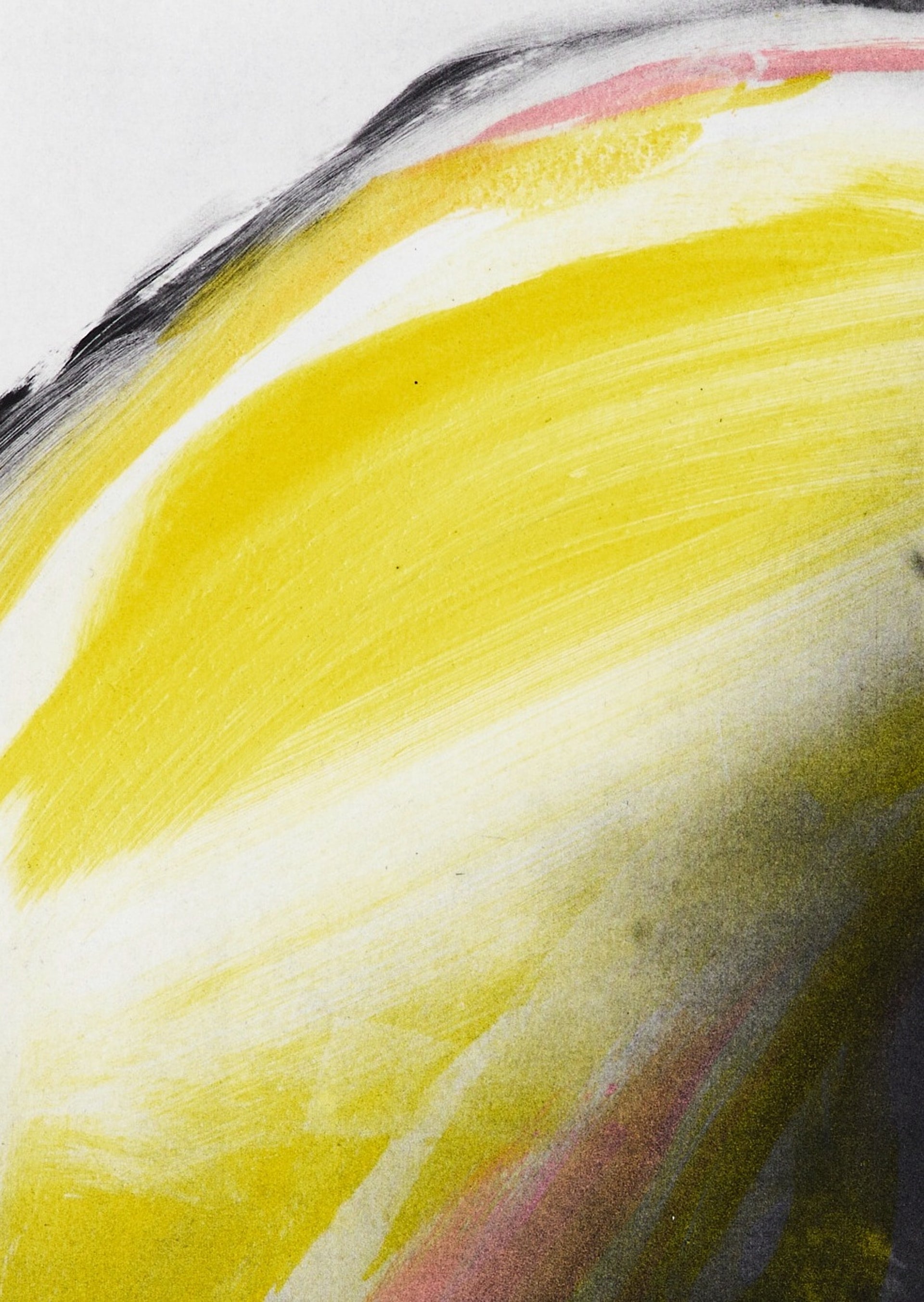 Detailausschnitt: I will wait for you in Yellow & Pink (7/12), Radierung von Clare Grossman
