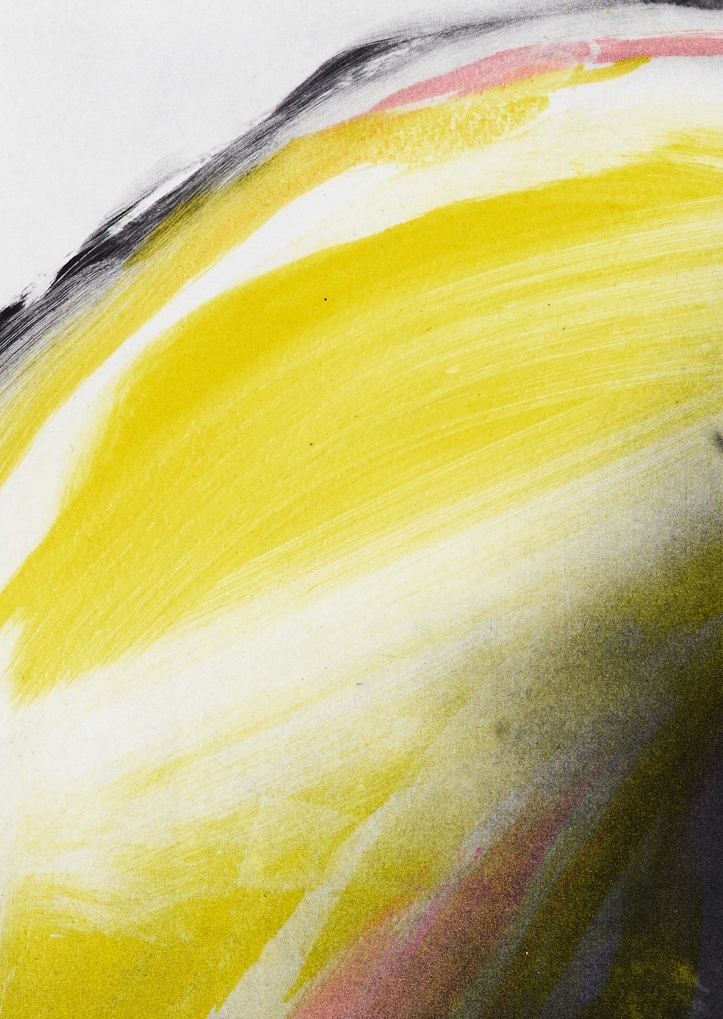 Detailausschnitt: I will wait for you in Yellow & Pink (7/12), Radierung von Clare Grossman