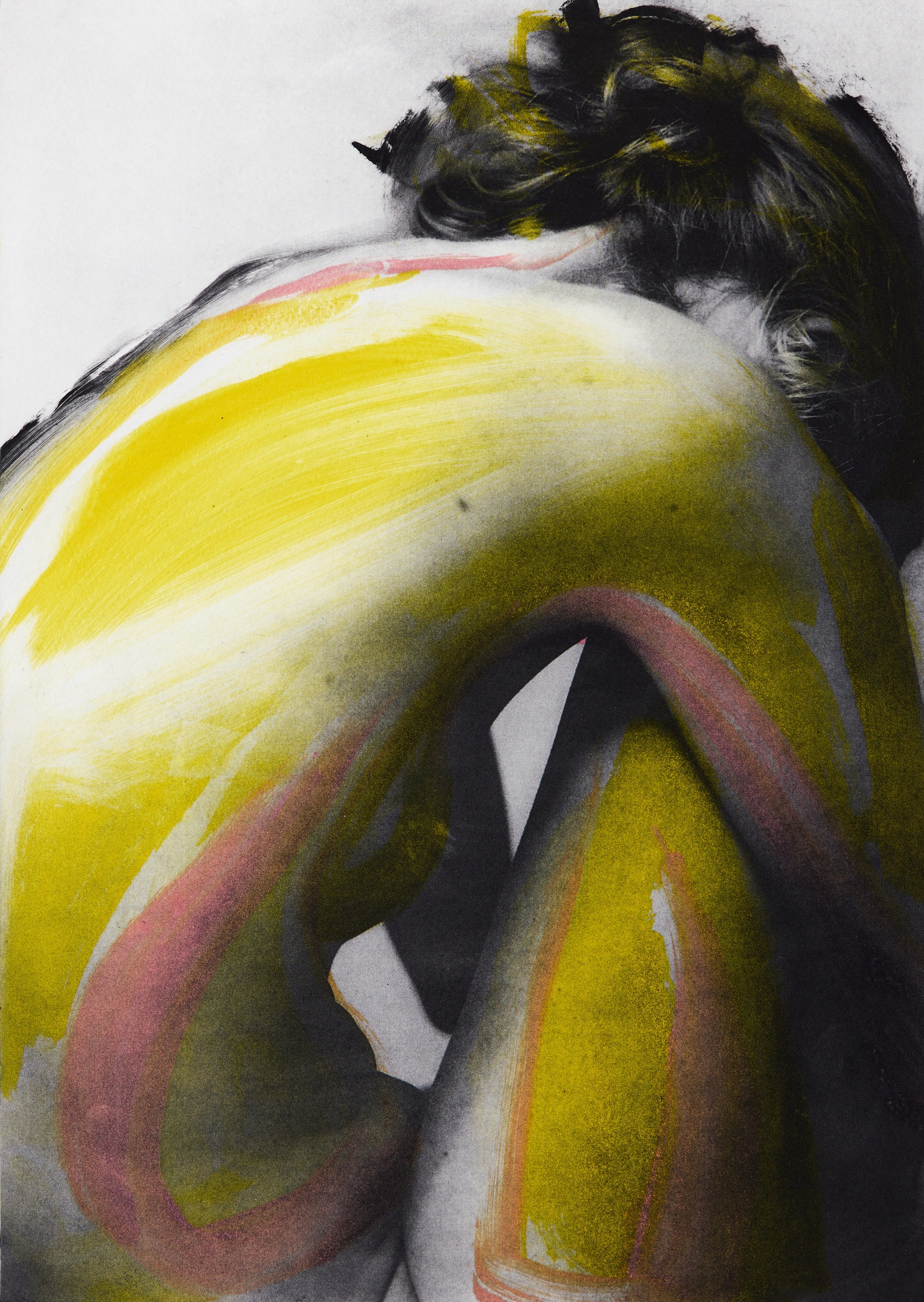 Clare Grossman, Clare Grossman – I will wait for you in Yellow & Pink (7/12), 2024
