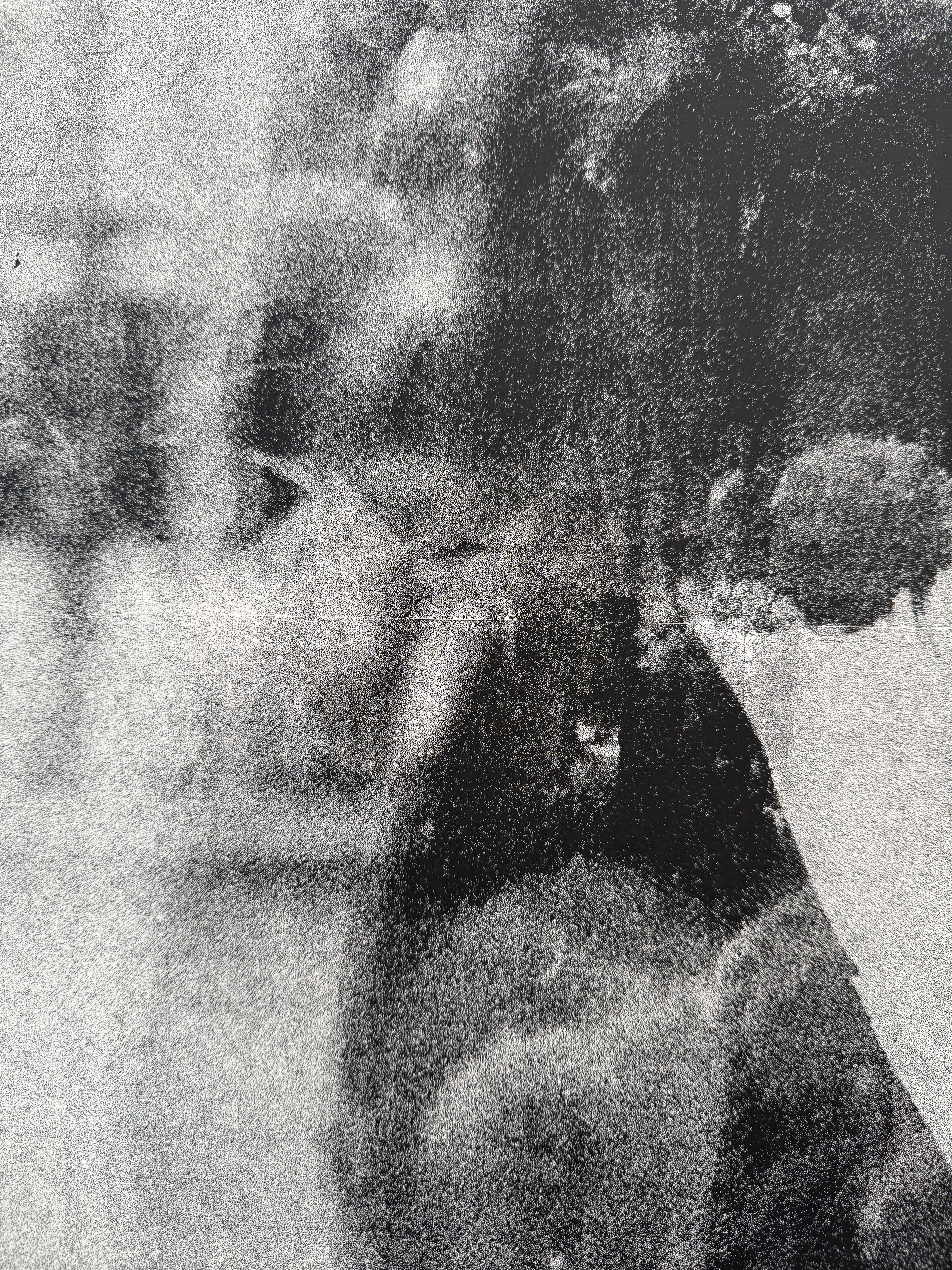 Detail: Naheinstellung mit körnigem Profilausschnitt und unscharfen Spiegelungen. Siebdruck "Echoes" von Antonia Reber.
